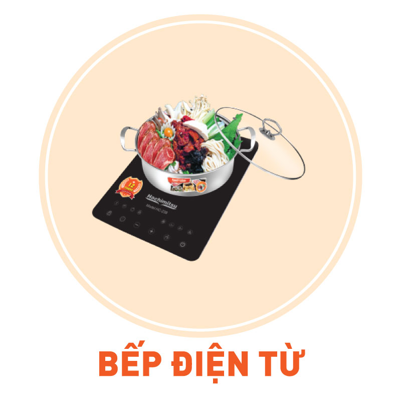 Bếp điện từ đơn